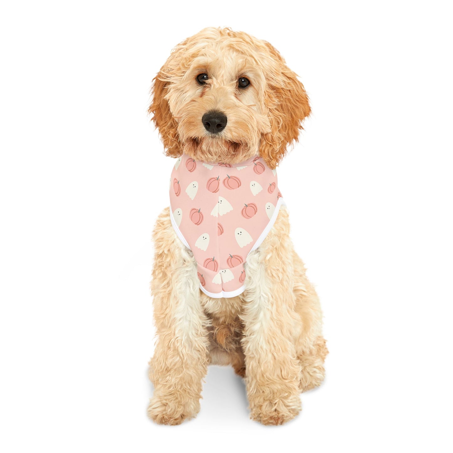 Ghostly Dog Halloween Hoodie