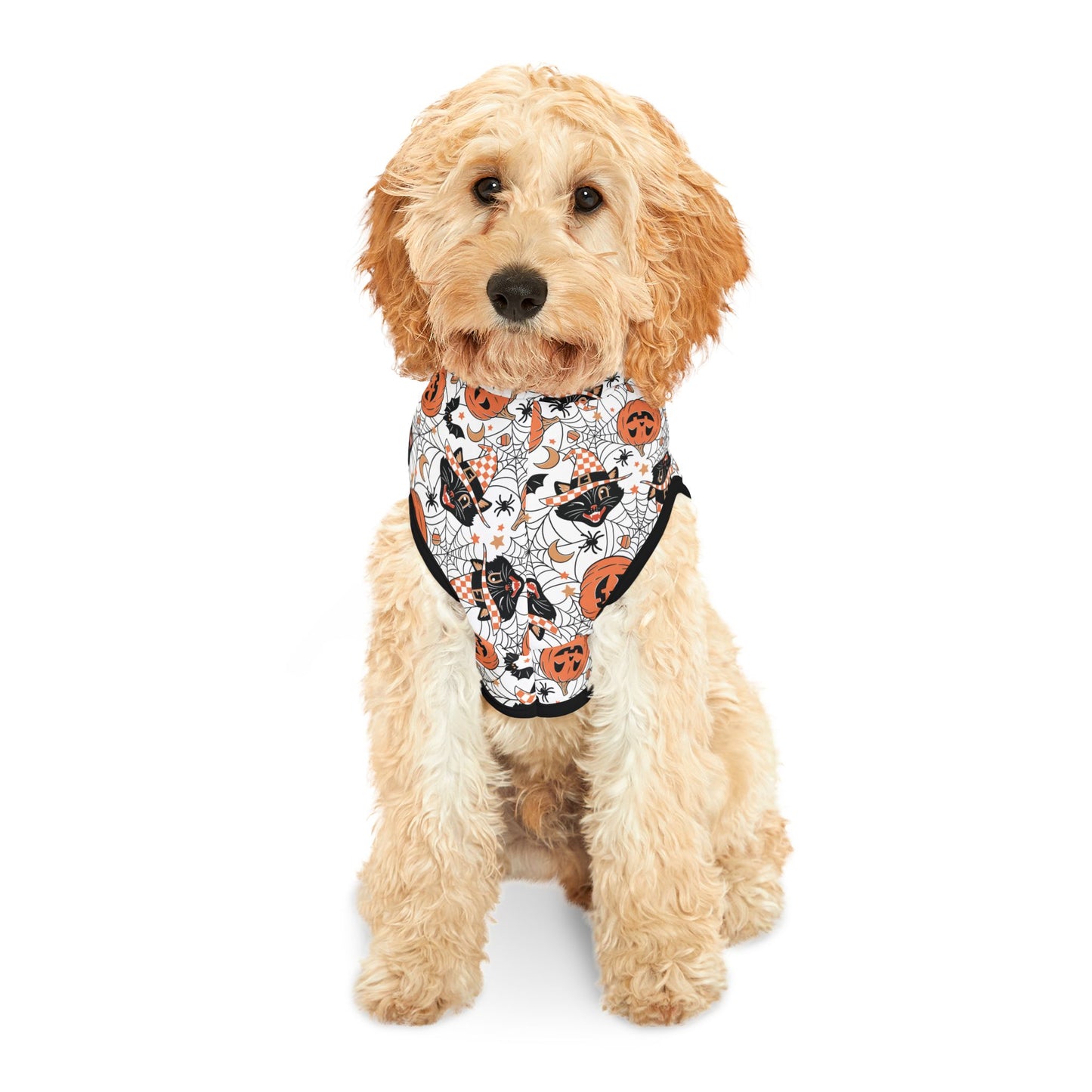 Retro Pumpkins and Halloween Black Cat Dog Halloween Hoodie, Dog Costume Pet Hoodie, Trick or Treat Halloween Dog Hoodie,Spooky