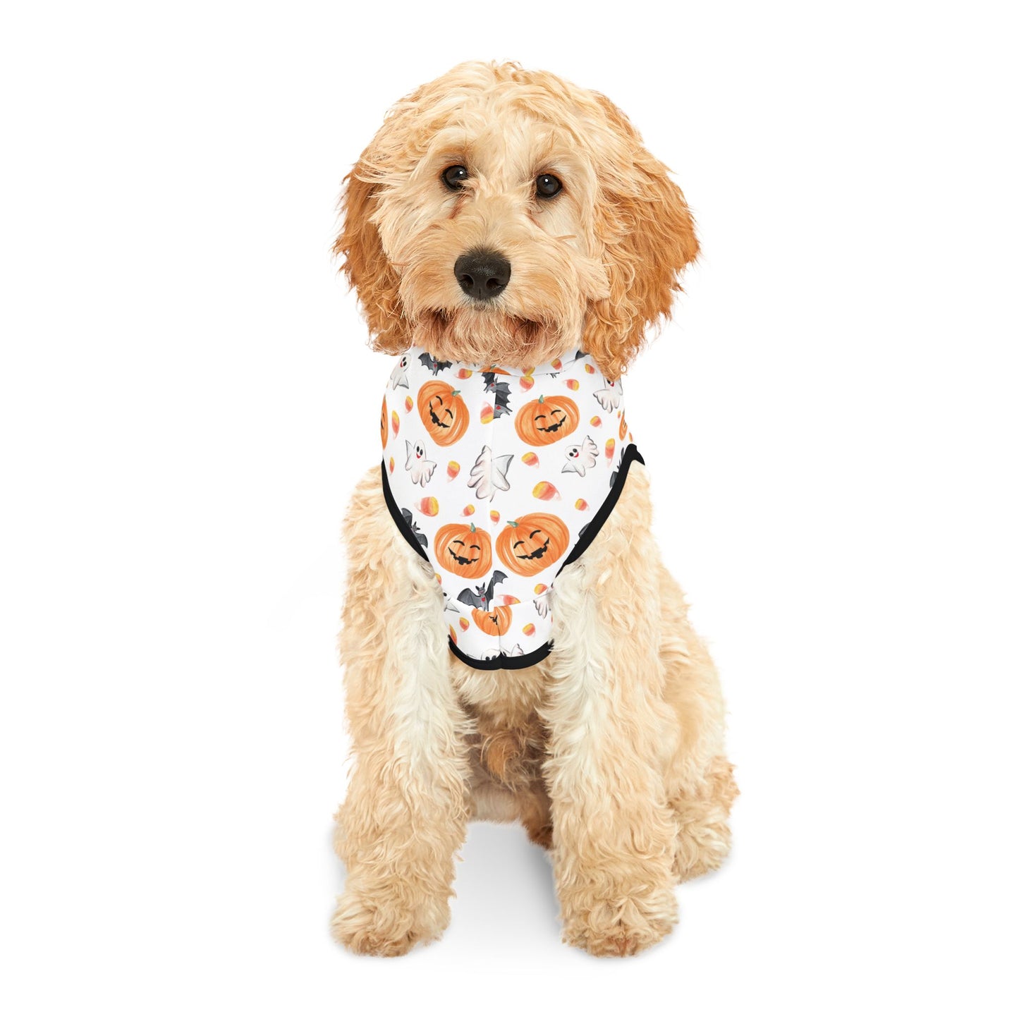 Ghostly Dog Halloween Hoodie