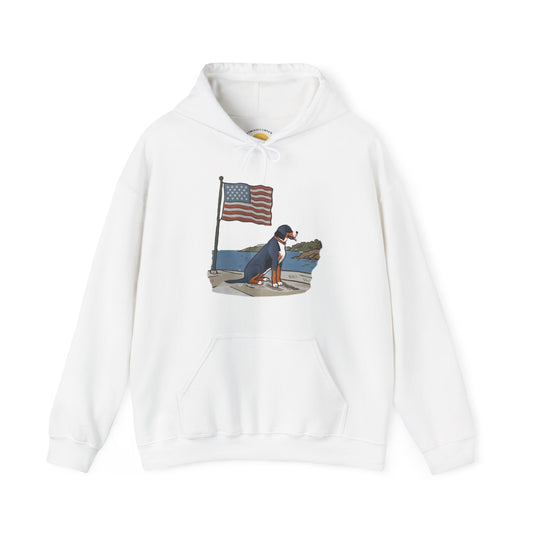 2025 New Summer Swissy Unisex Hooded Sweatshirt, Swissy Summer Hoodie, Greater Swiss Mountain Dog, Cartoon Swissy Character