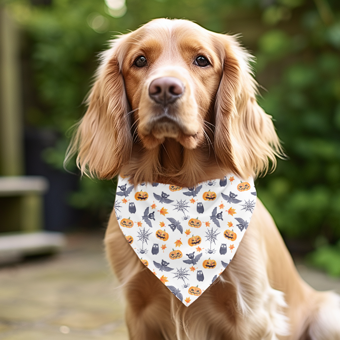 Halloween Bats and Pumpkins Dog Bandana