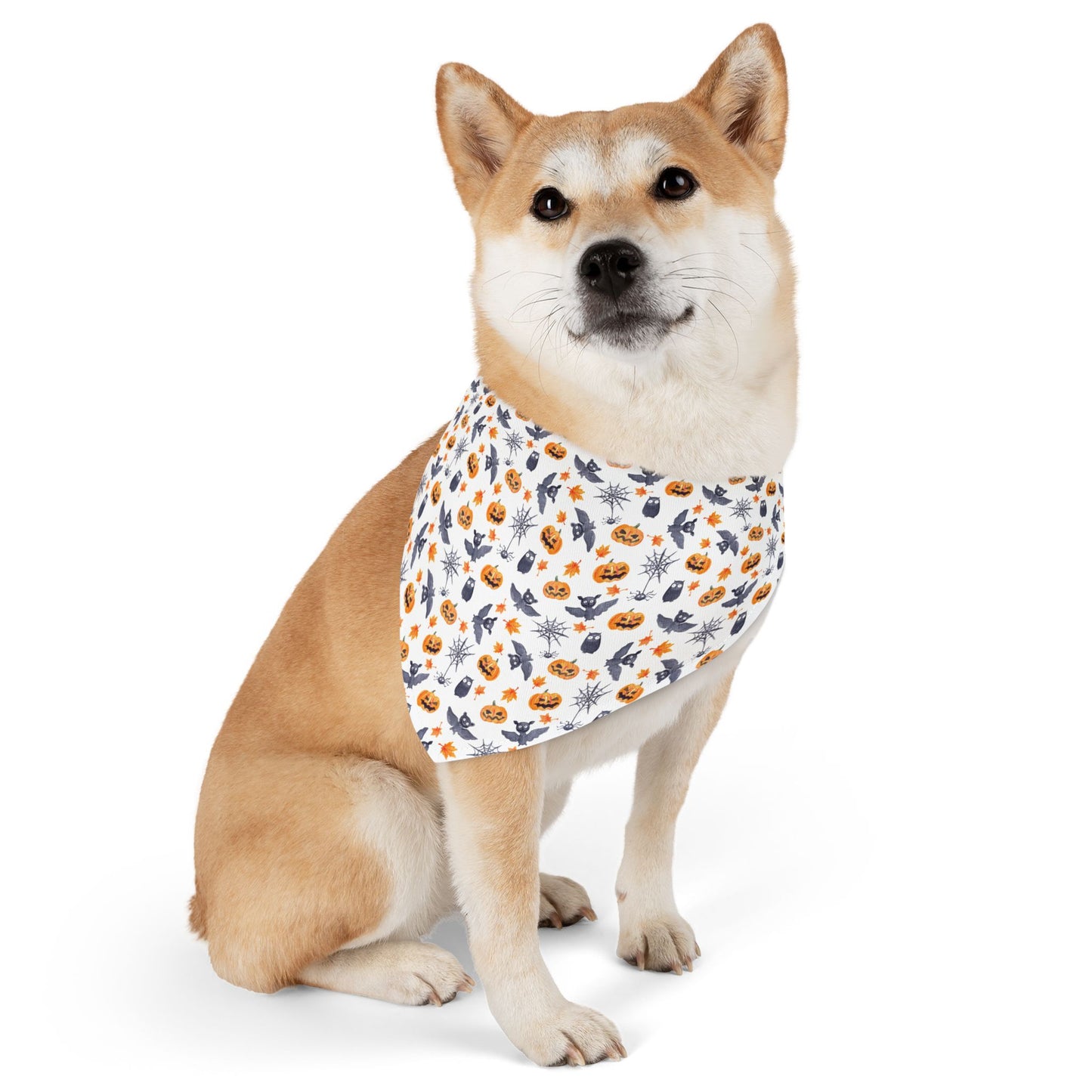 Halloween Scaredy Bats Dog Bandana with Collar