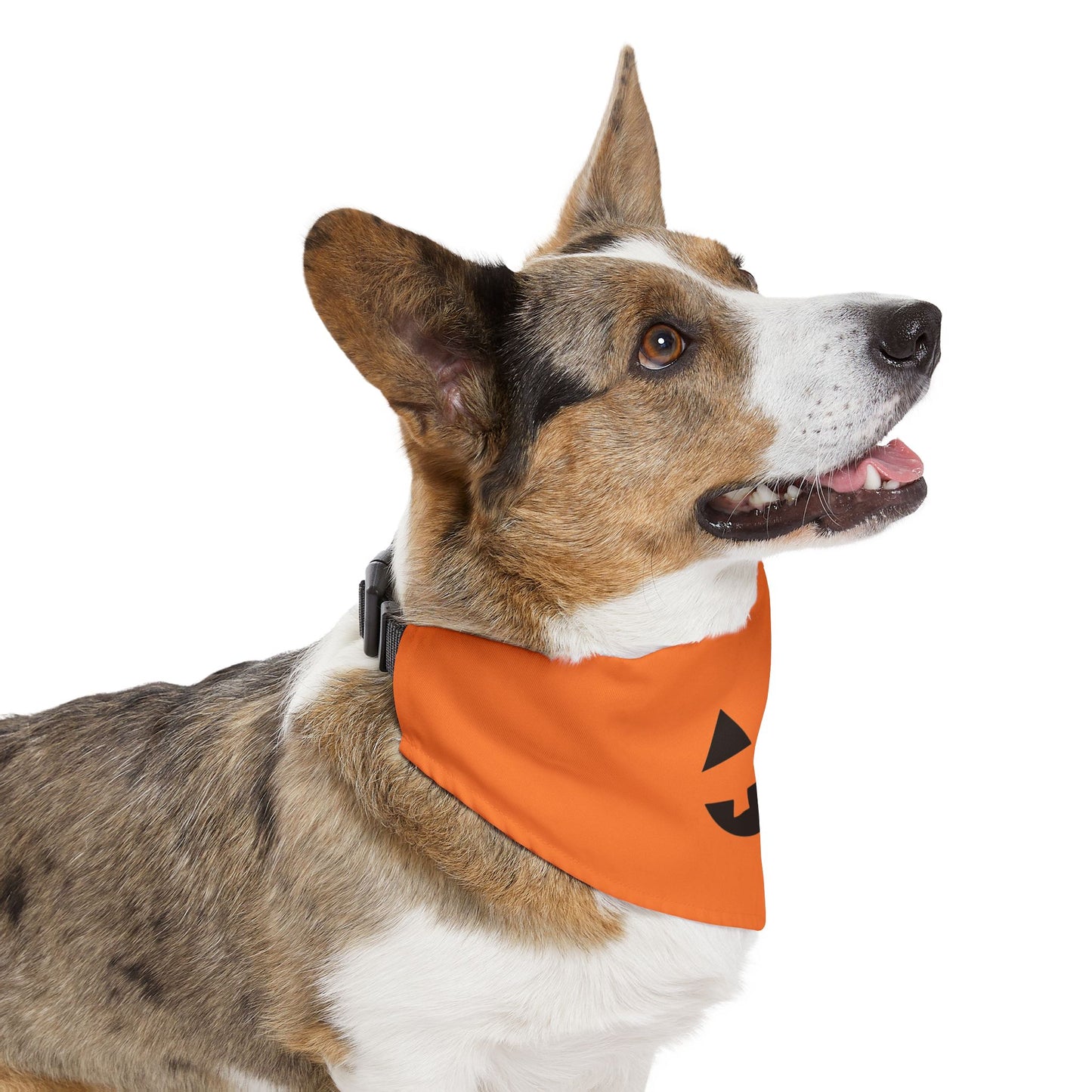 Jack-o-Lantern Halloween Dog Bandana with Collar