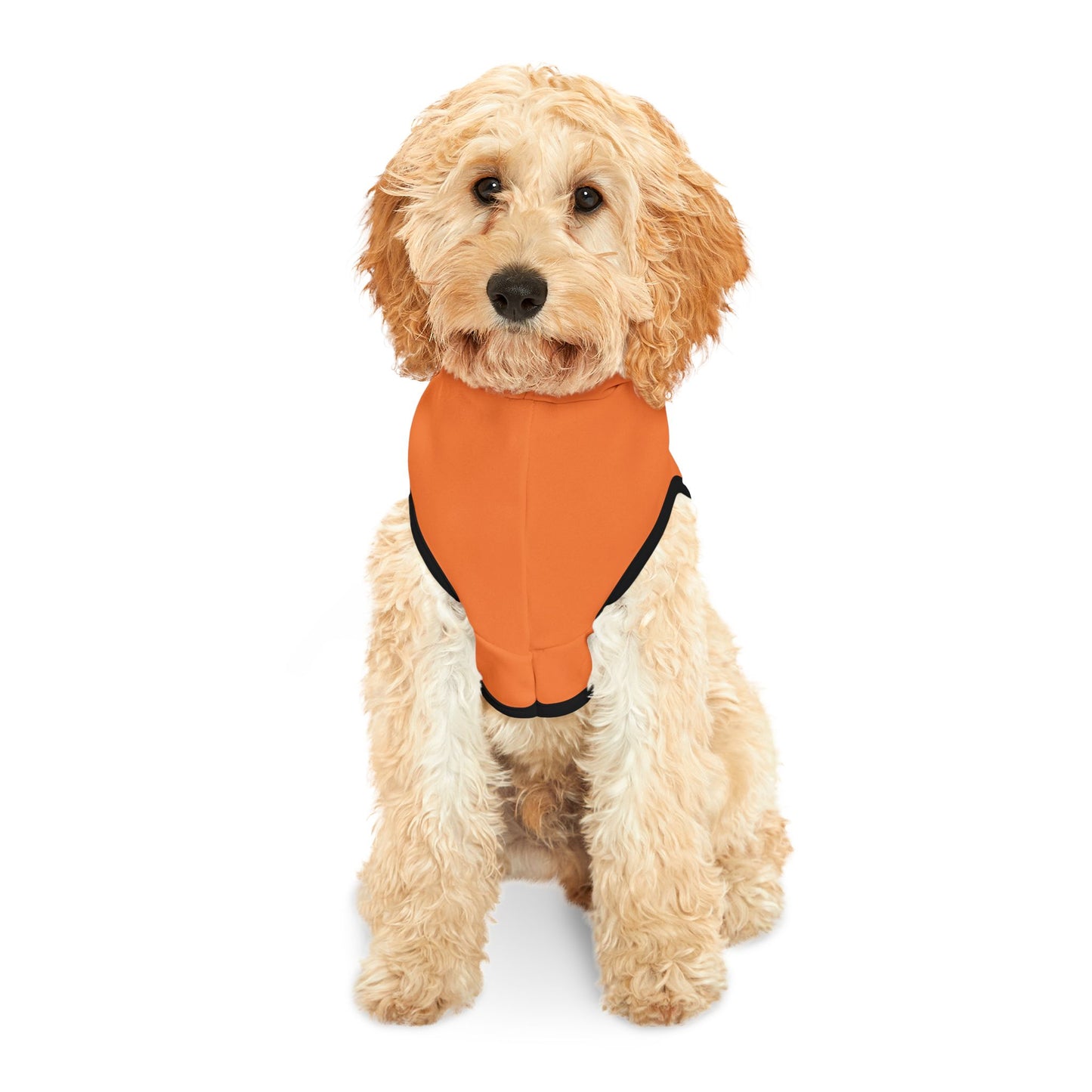 Halloween Dog Hoodie, Jack-O-Lantern Spooky Dogs Halloween Pattern, Costume Dog Hoodie, Halloween Costume for Dogs