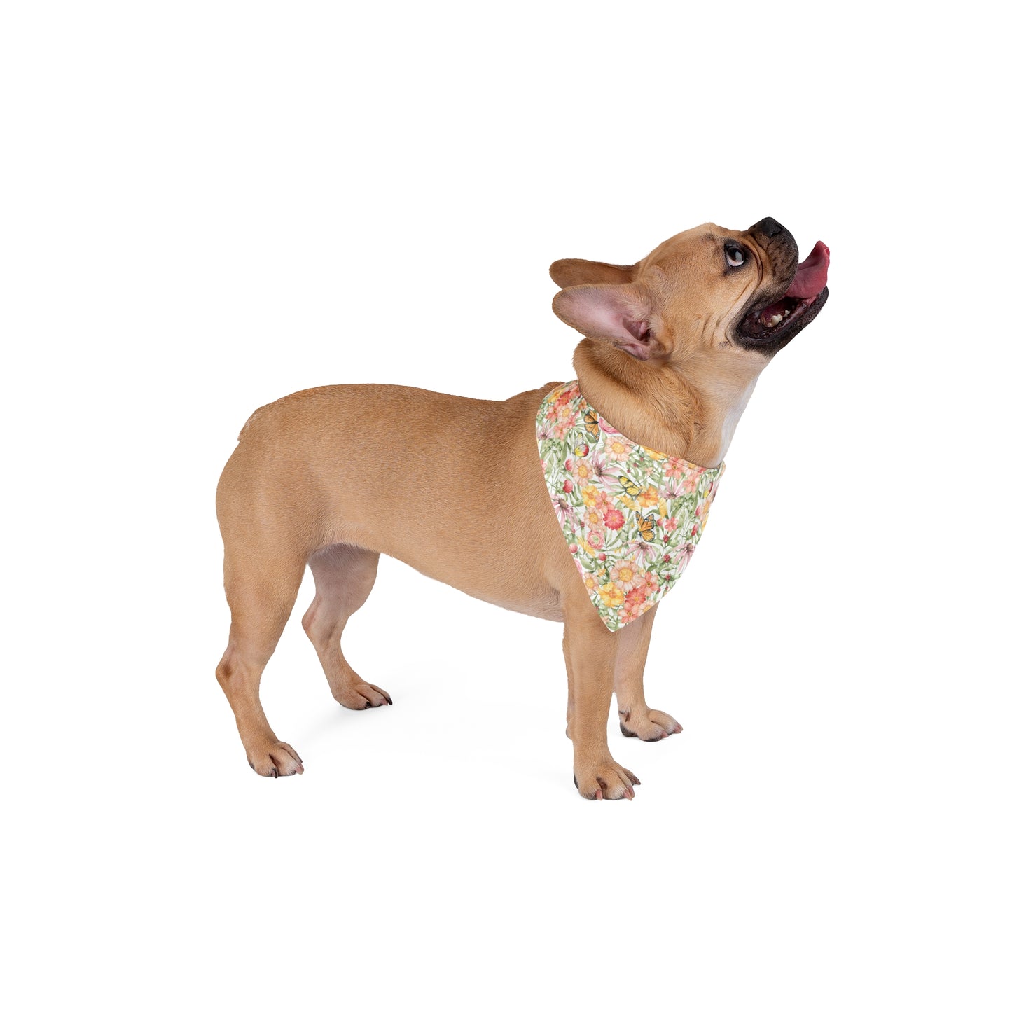 Colorful Botanical Garden & Butterfly Dog Bandana No Collar