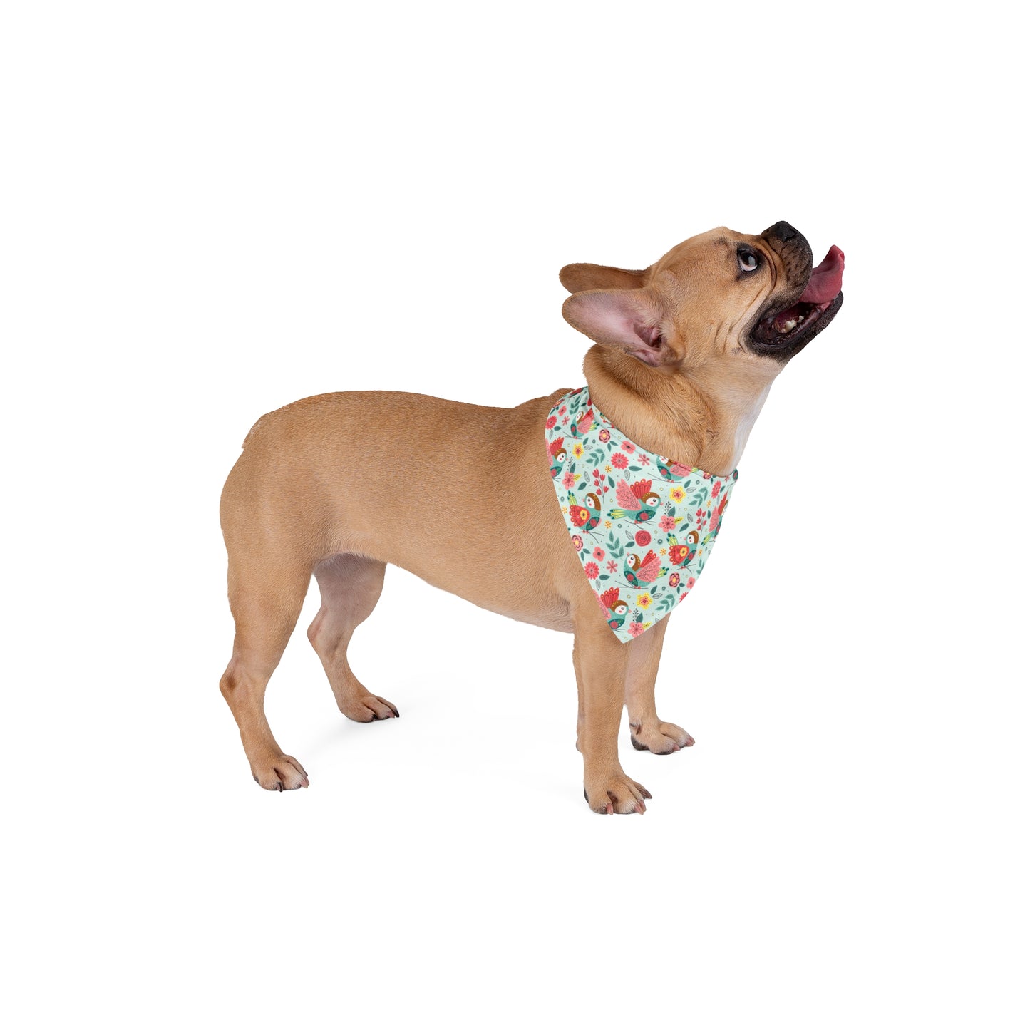 Spring Dog Bandana, Colorful Spring Birds Bandana