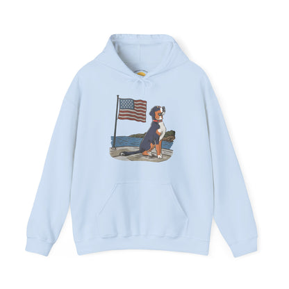 2025 New Summer Swissy Unisex Hooded Sweatshirt, Swissy Summer Hoodie, Greater Swiss Mountain Dog, Cartoon Swissy Character