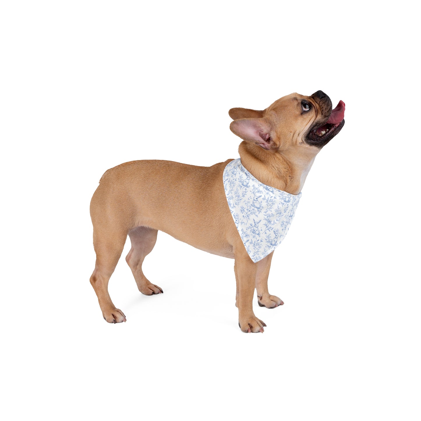 Hand Sketched Blue Toile Easter Dog Bandana,Spring Dog Bandana, Grand Millennial Dog Pup