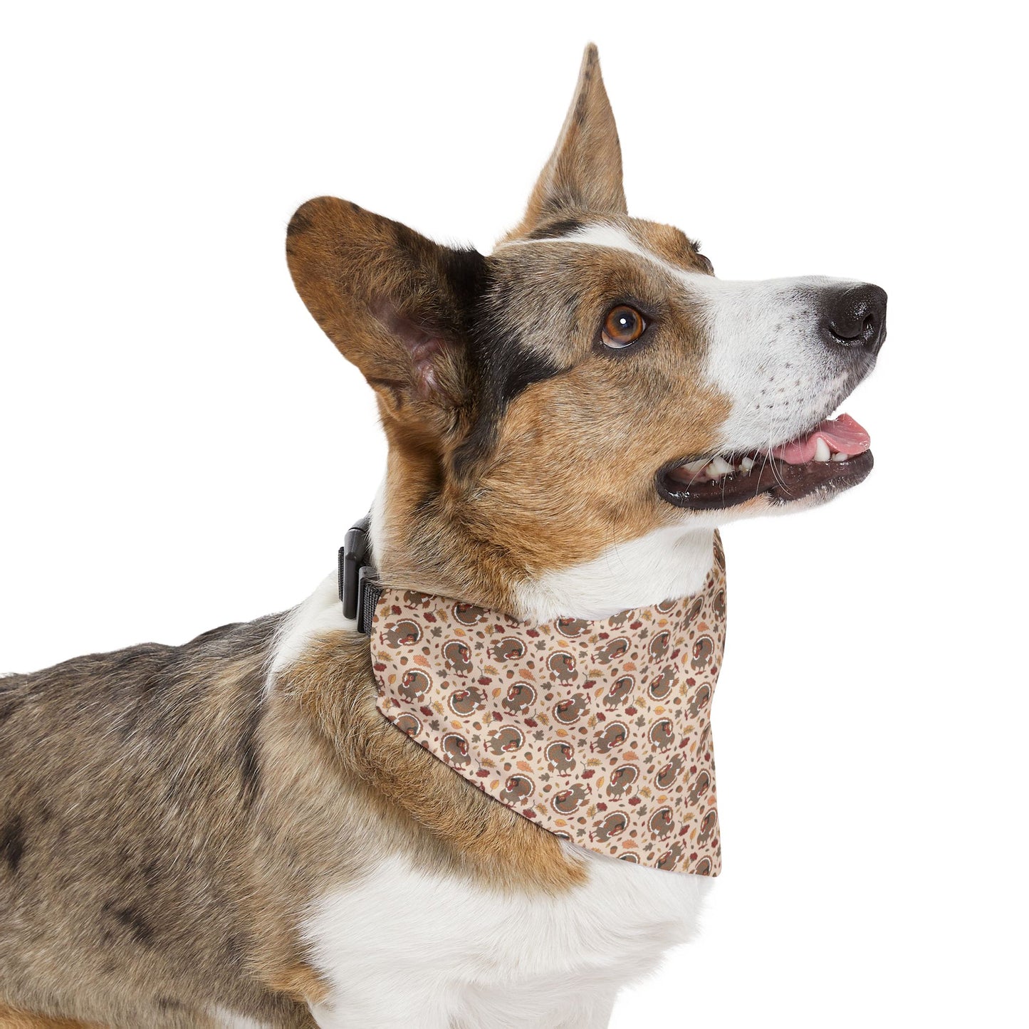 Thanksgiving Turkeys Dog Bandana with Collar