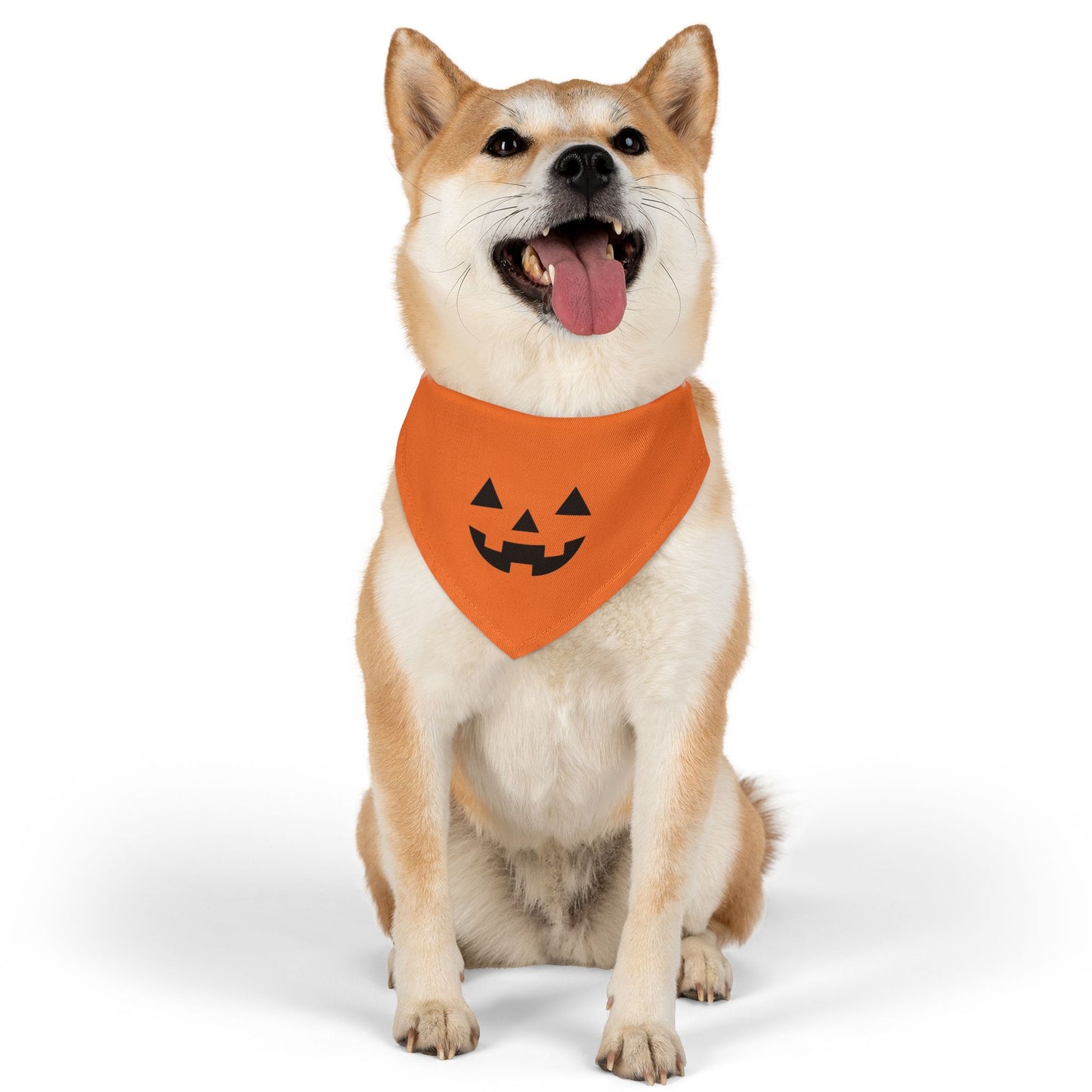 Jack-o-Lantern Halloween Dog Bandana with Collar