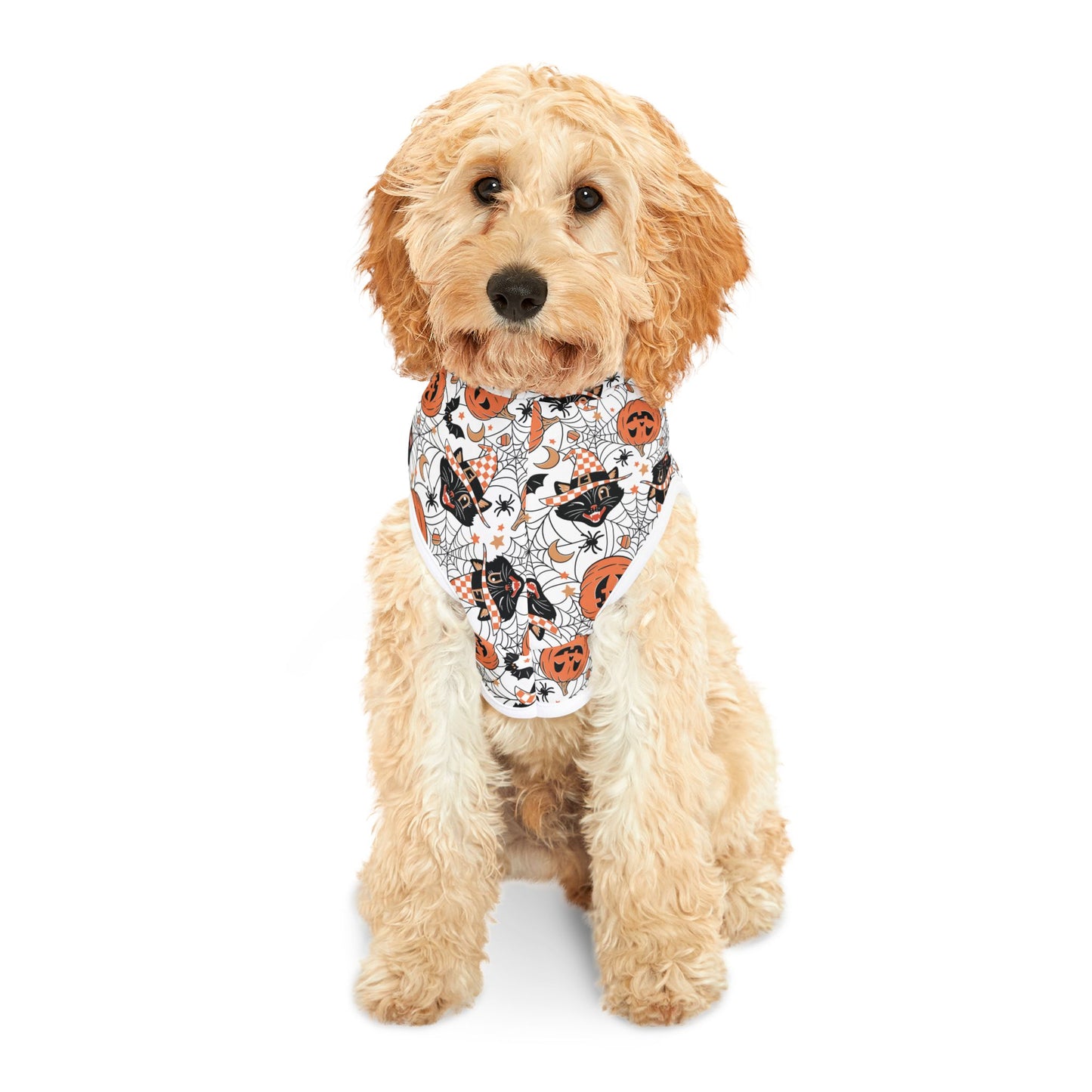Retro Pumpkins and Halloween Black Cat Dog Halloween Hoodie, Dog Costume Pet Hoodie, Trick or Treat Halloween Dog Hoodie,Spooky