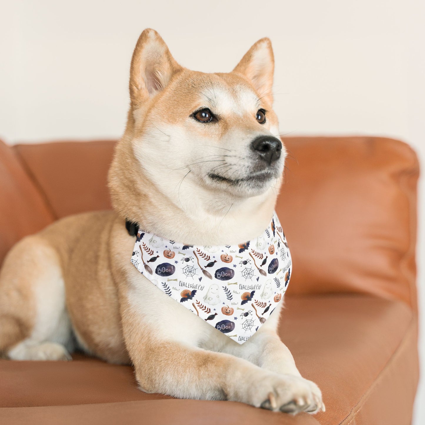 Halloween Pattern Dog Bandana with Collar