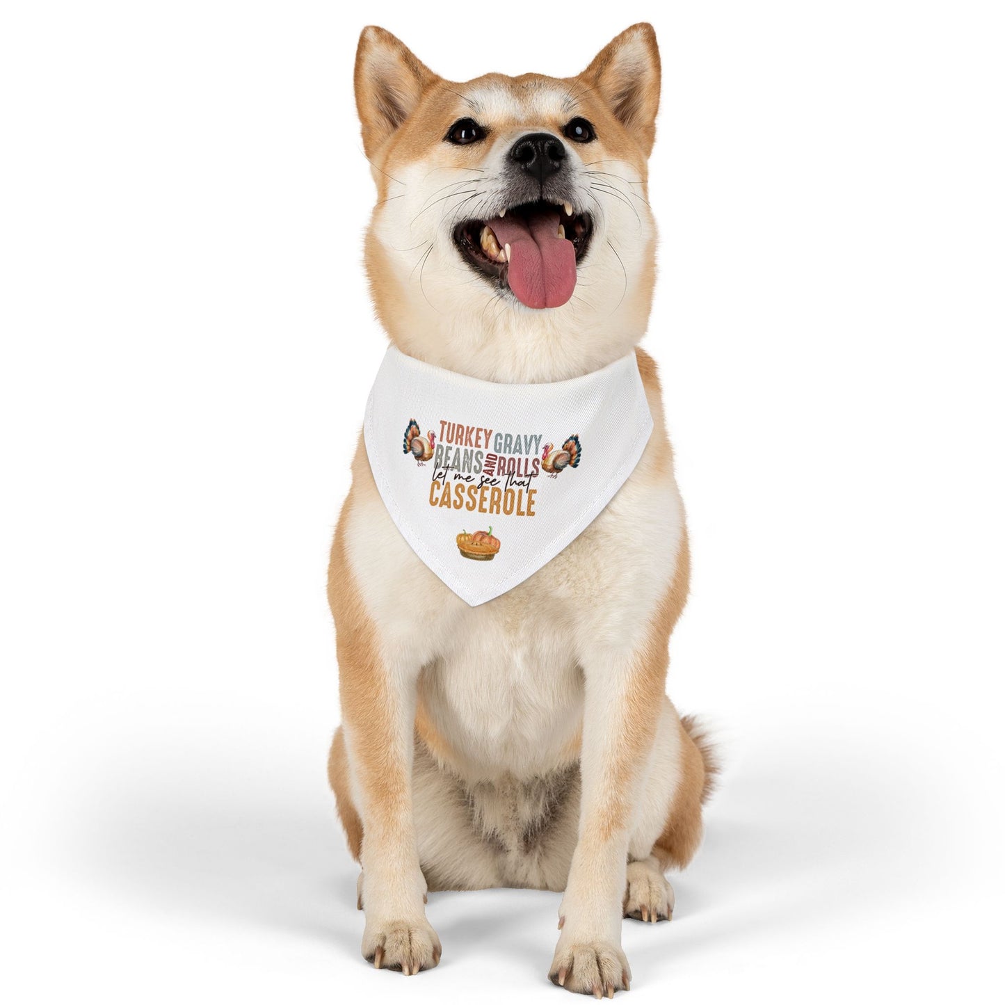 Fun Thanksgiving "Let Me See That Casserole" Dog Bandana with Collar