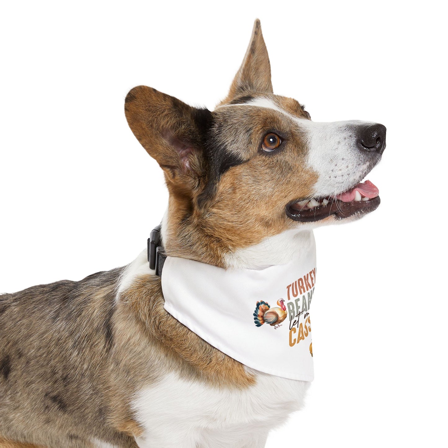 Fun Thanksgiving "Let Me See That Casserole" Dog Bandana with Collar