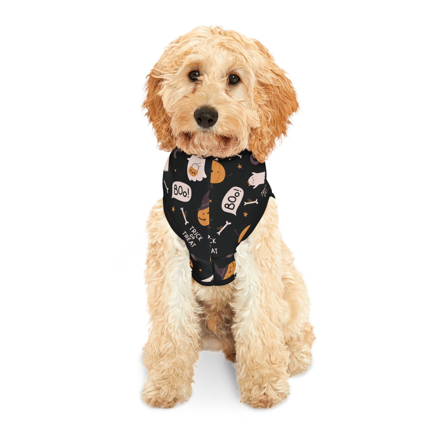Spooky Halloween Hoodie, Dog Costume Pet Hoodie, Trick or Treat Halloween Dog Hoodie, Cute Spooky Dog