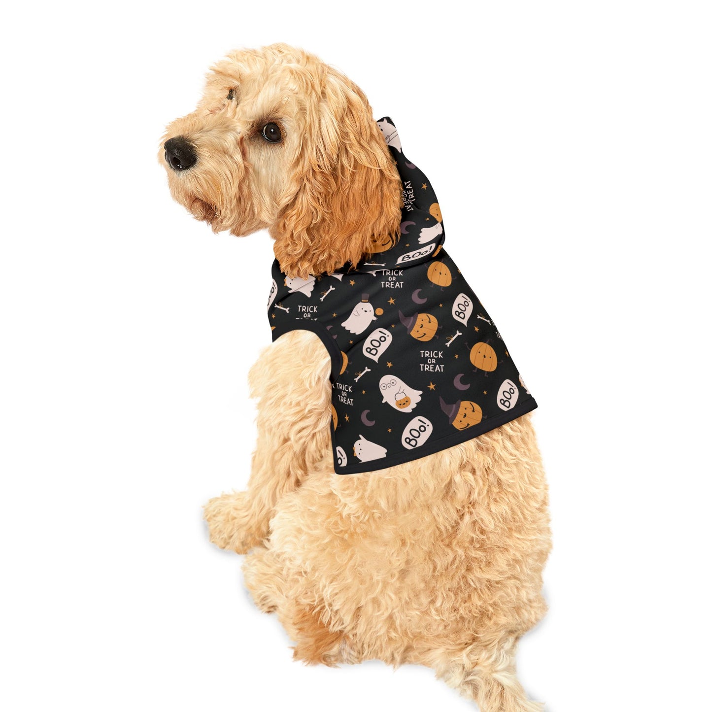 Spooky Halloween Hoodie, Dog Costume Pet Hoodie, Trick or Treat Halloween Dog Hoodie, Cute Spooky Dog