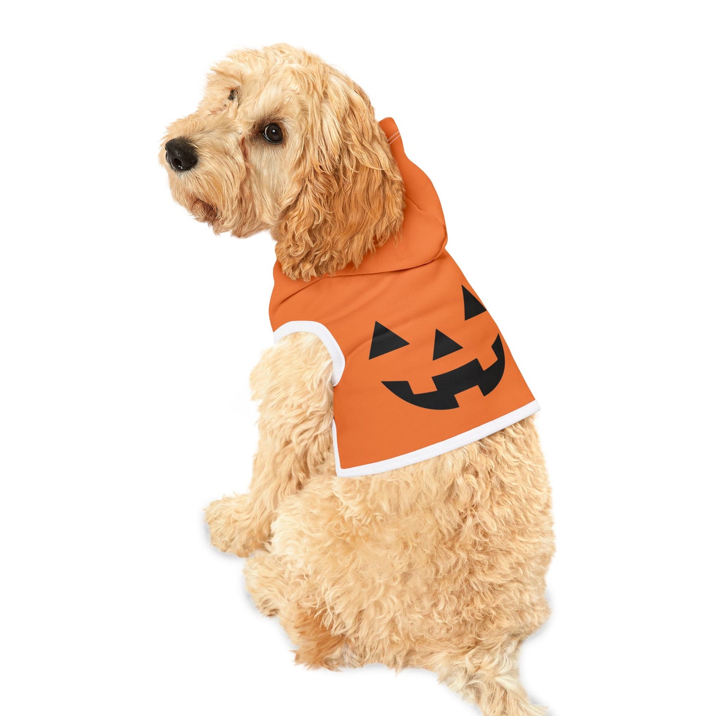 Halloween Dog Hoodie, Jack-O-Lantern Spooky Dogs Halloween Pattern, Costume Dog Hoodie, Halloween Costume for Dogs