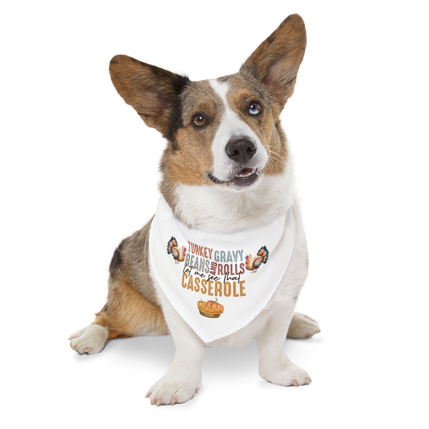 Fun Thanksgiving "Let Me See That Casserole" Dog Bandana with Collar