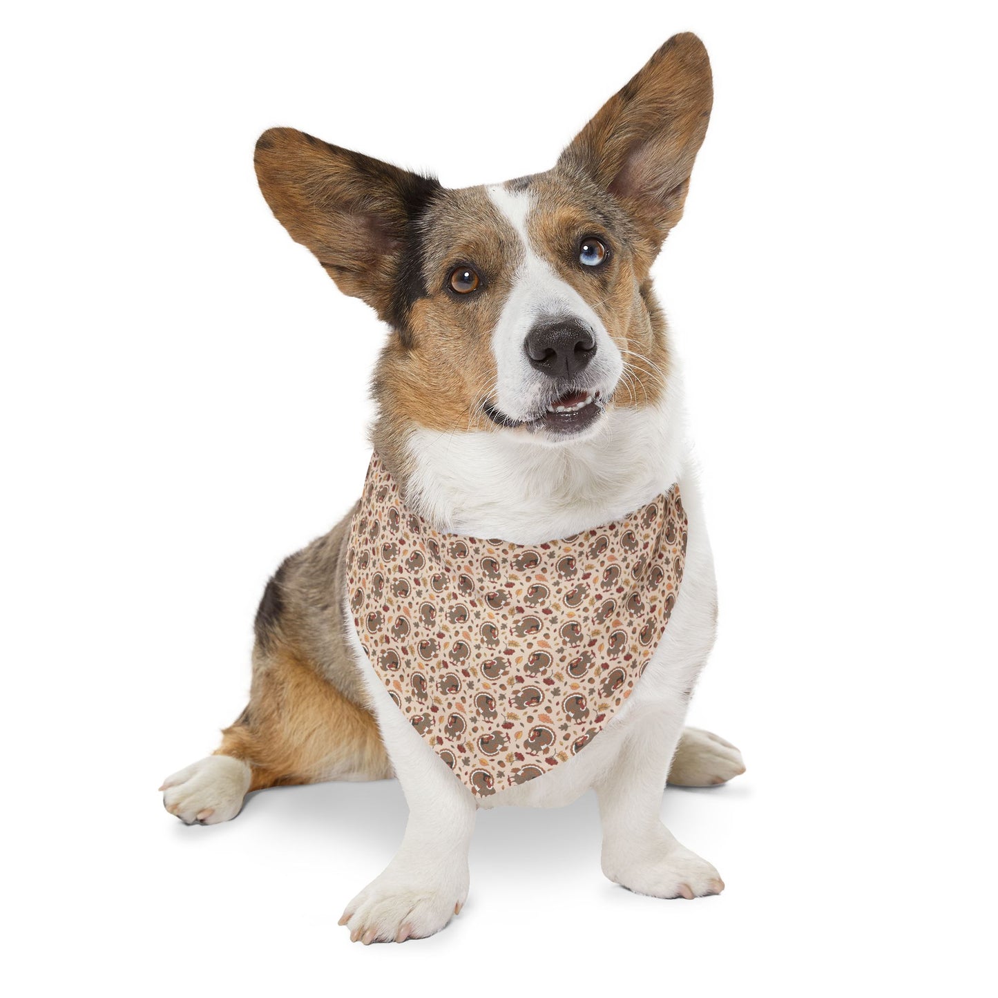 Thanksgiving Turkeys Dog Bandana with Collar