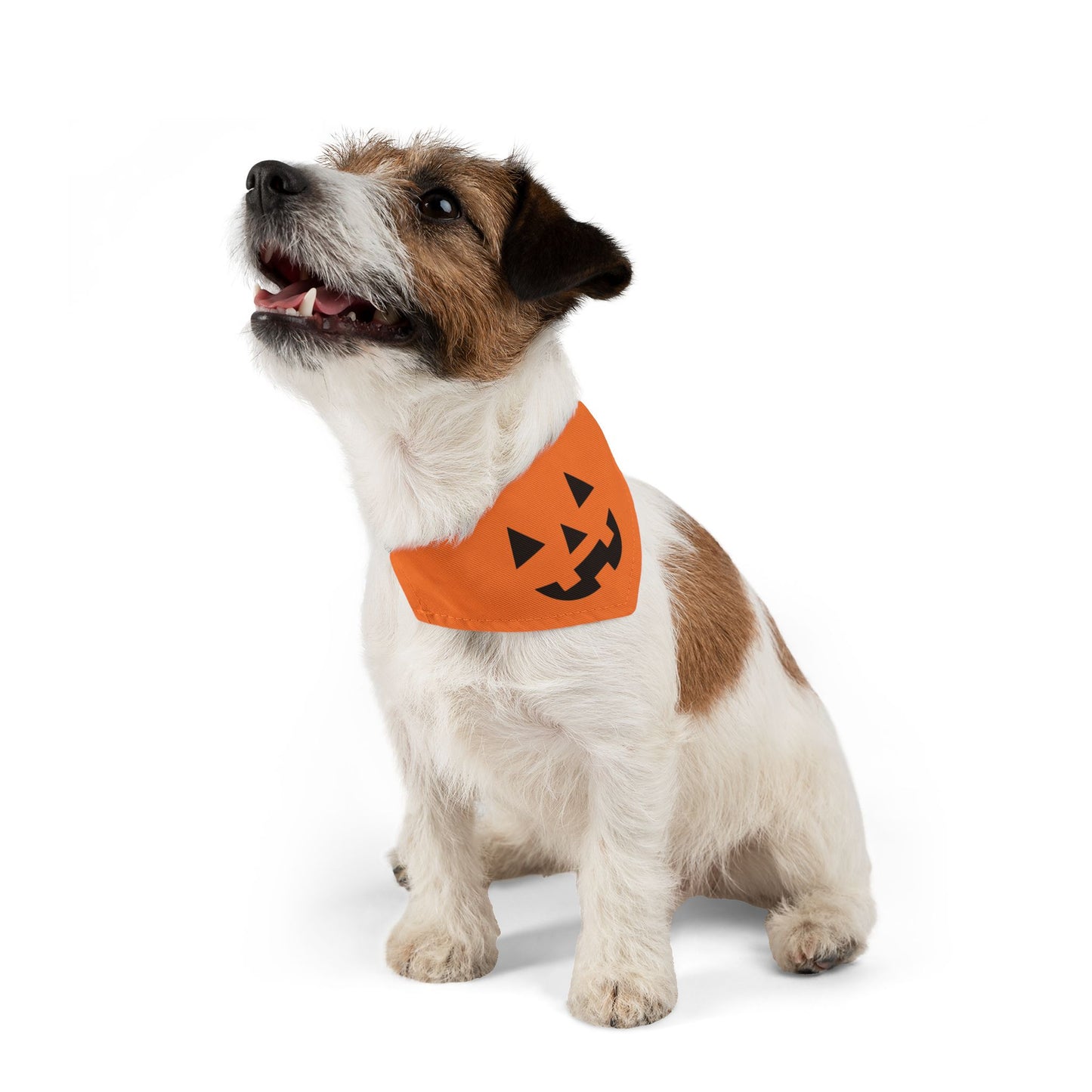 Jack-o-Lantern Halloween Dog Bandana with Collar