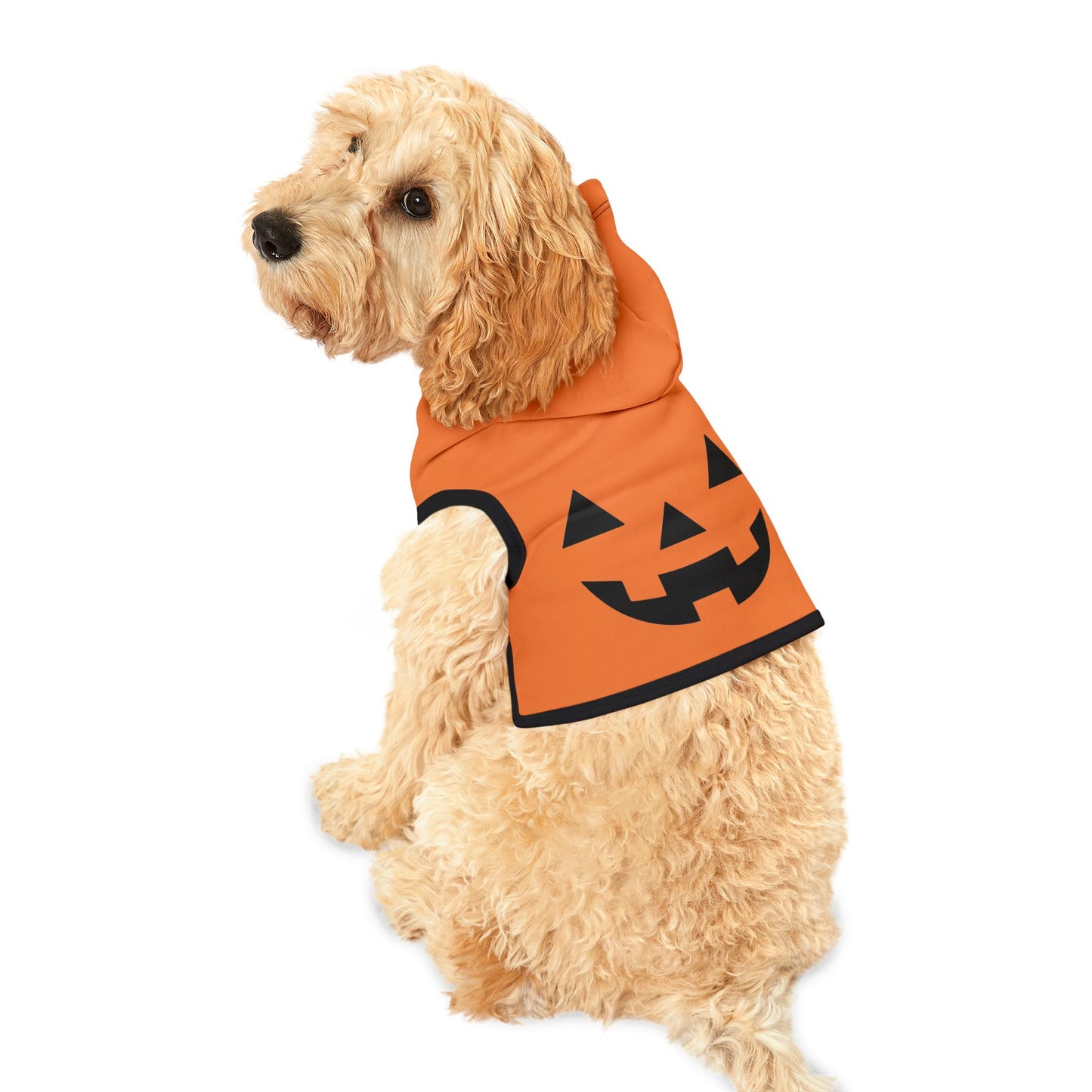 Halloween Dog Hoodie, Jack-O-Lantern Spooky Dogs Halloween Pattern, Costume Dog Hoodie, Halloween Costume for Dogs