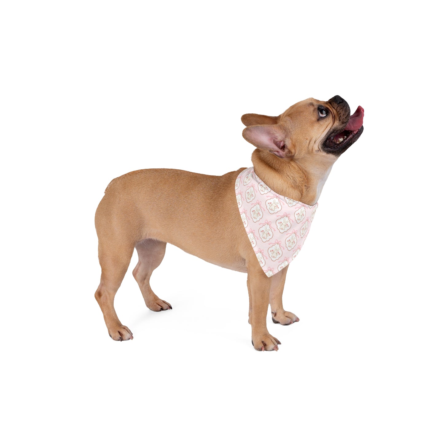 Easter Pink Coquette Dog Bandana