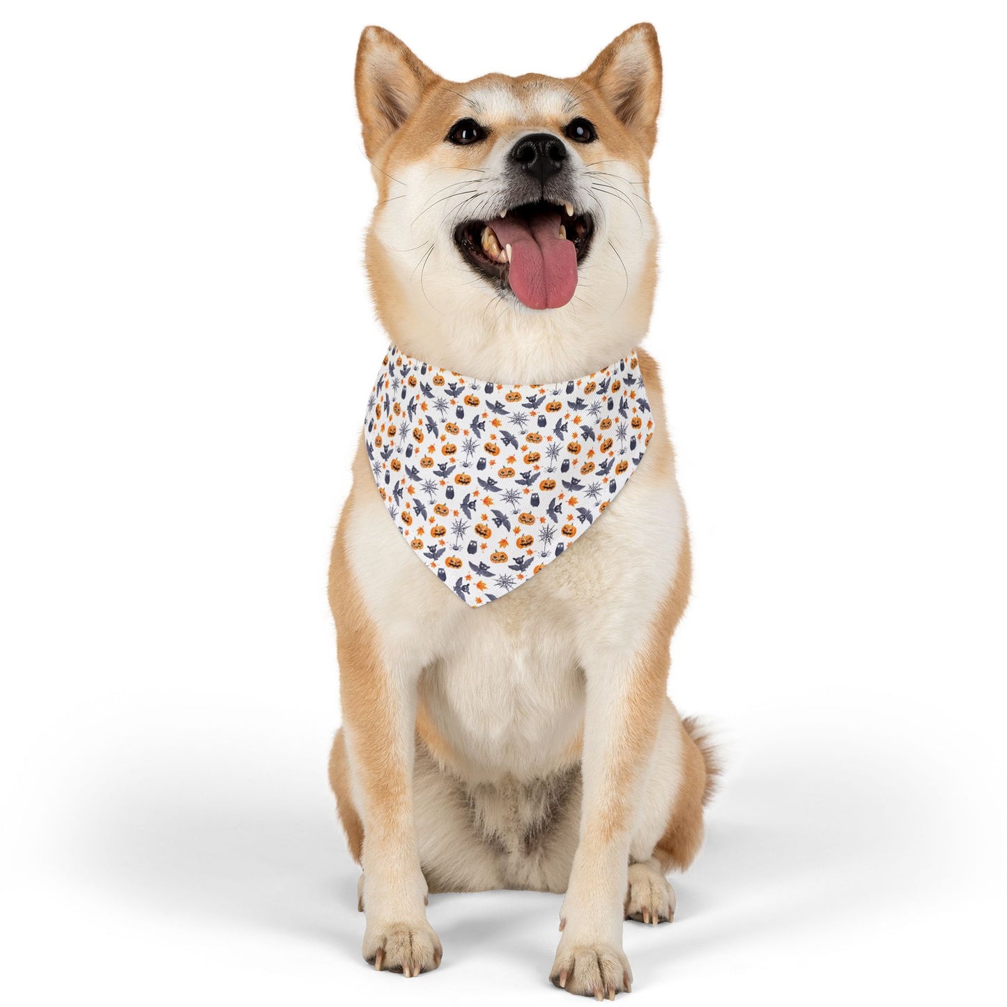 Halloween Scaredy Bats Dog Bandana with Collar