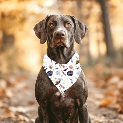 Halloween Pattern Dog Bandana