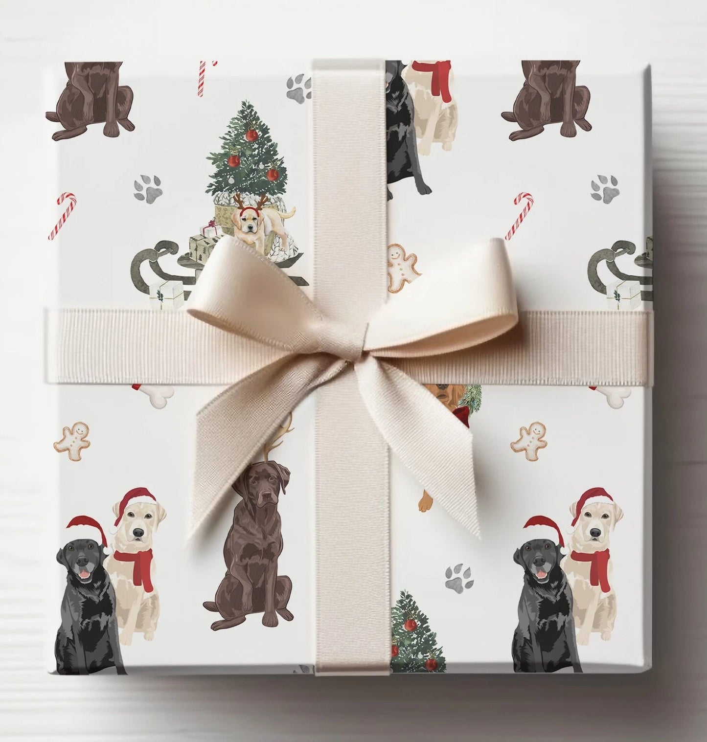 Labrador Retriever Christmas